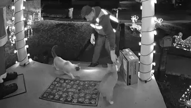 Csomagra vár nő: amikor meglátja, mit művel a futár a macskáival, nem hisz a szemének – Videó