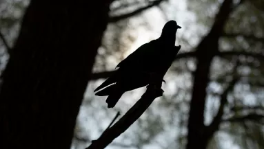 Ezzel a 3 mondattal leplezi le magát: boldogtalan a pasid melletted