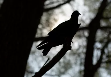 Ezzel a 3 mondattal leplezi le magát: boldogtalan a pasid melletted