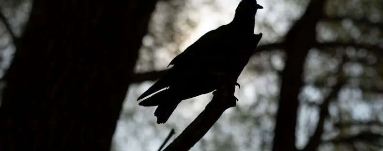 Ezzel a 3 mondattal leplezi le magát: boldogtalan a pasid melletted