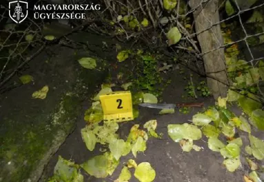 Meglátogatta a volt párját a férfi Nagykáta környékén: majdnem belehalt