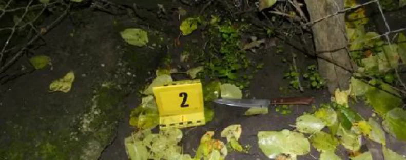 Meglátogatta a volt párját a férfi Nagykáta környékén: majdnem belehalt