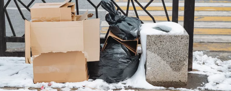 Gazdag környékre ment a szemétbe turkálni az influenszer: amit talált, megdöbbentő