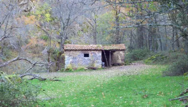 Víz és villany nélkül élt az erdőben egy család: három gyereket emeltek ki