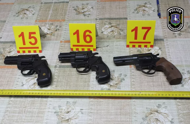 fegyverek, borsod, bűnügy, krimi, 