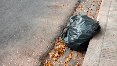 Egy zsák aranyat talált az utcán két fiú: amit ezután tettek, hihetetlen