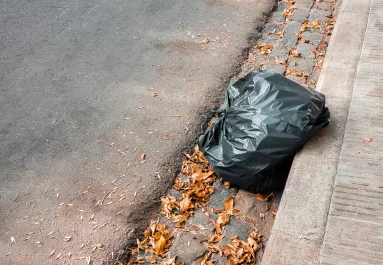 Egy zsák aranyat talált az utcán két fiú: amit ezután tettek, hihetetlen