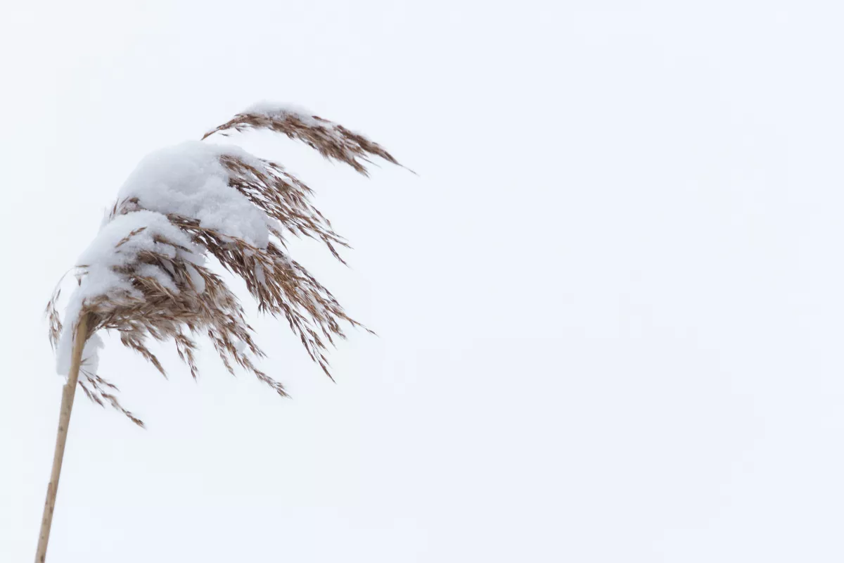 5 vármegyére frissítették a riasztást: brutális idő vár ránk