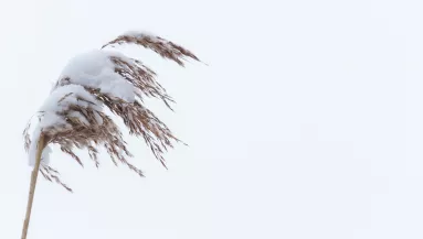 5 vármegyére frissítették a riasztást: brutális idő vár ránk
