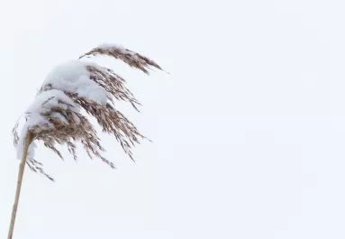 5 vármegyére frissítették a riasztást: brutális idő vár ránk
