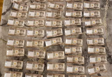 Beterítette a szőnyeget a pénz: rácsok mögött Tivadar és a neje