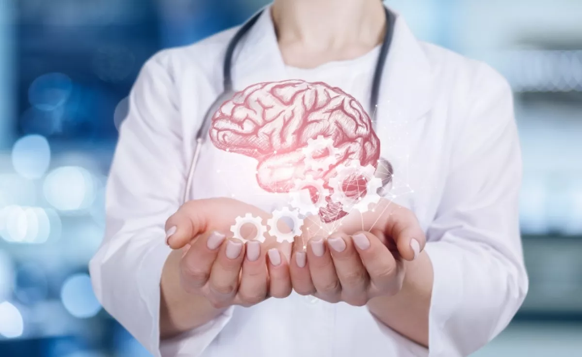 Ez a fűszer csodát tesz a memóriával és az aggyal: otthon is könnyen termeszthető