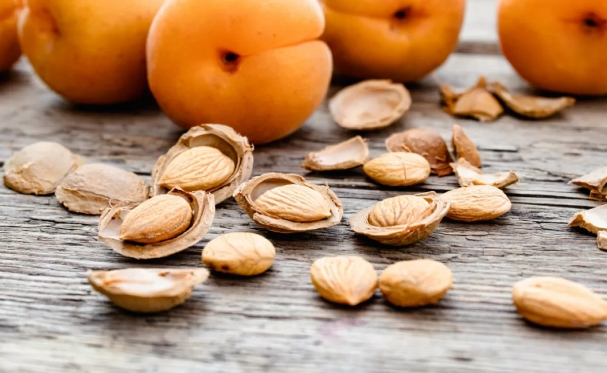 Ezt az ártatlannak tűnő magot soha ne edd meg nyersen: halált is okozhat, ha így fogyasztod