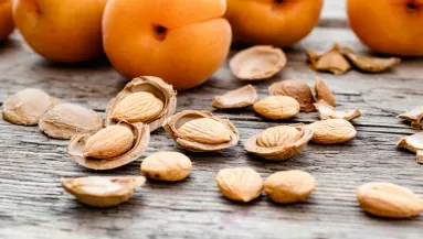 Ezt az ártatlannak tűnő magot soha ne edd meg nyersen: halált is okozhat, ha így fogyasztod