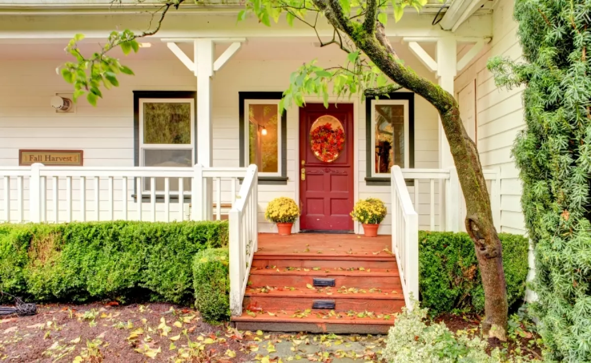 Elűzi a negatív energiákat ez a növény, ha az ajtód elé teszed: otthonod valódi védelmezője lehet