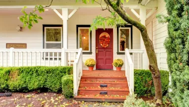 Elűzi a negatív energiákat ez a növény, ha az ajtód elé teszed: otthonod valódi védelmezője lehet