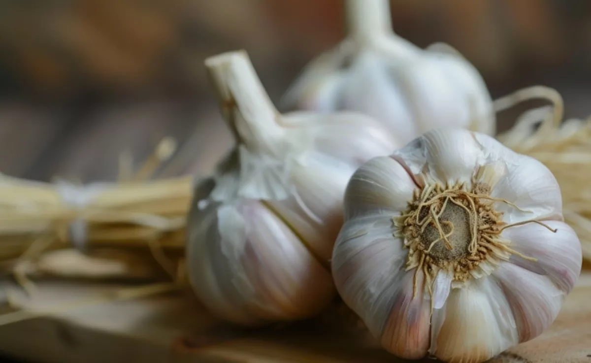 Ha így tárolod a fokhagymát, mérgezővé válhat: életveszélyes lehet elfogyasztani
