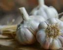 Ha így tárolod a fokhagymát, mérgezővé válhat: életveszélyes lehet elfogyasztani Ha így tárolod a fokhagymát, mérgezővé válhat: életveszélyes lehet elfogyasztani