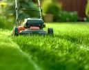 Smaragzöld lesz a kertedben a gyep, ha ezt csinálod fűnyírás után: a tiéd lesz a legszebb pázsit