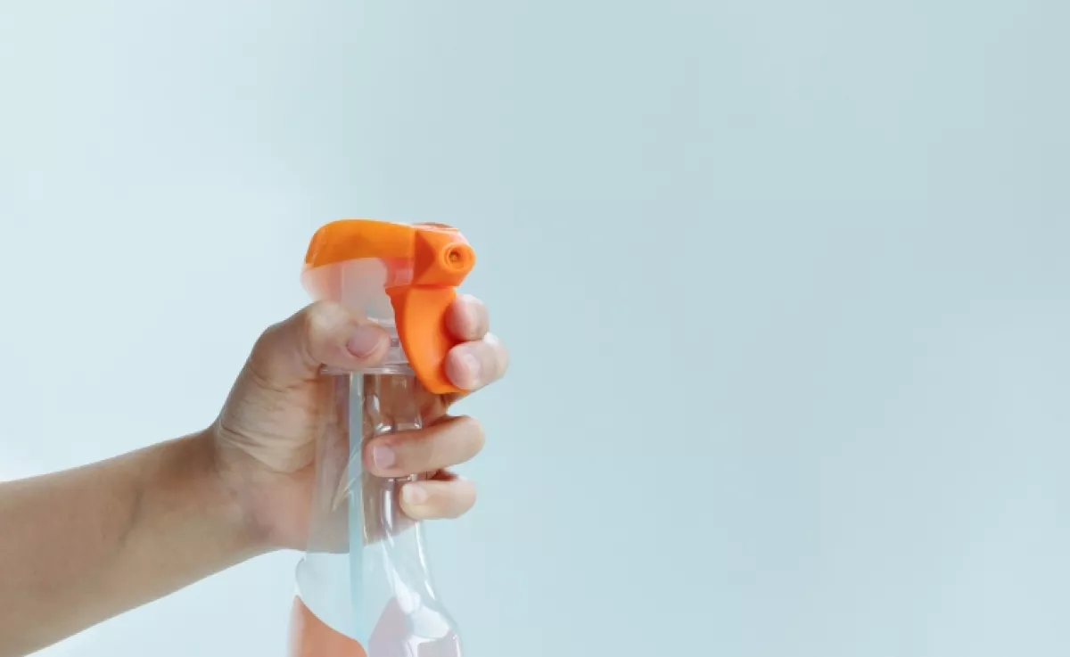 Ha ezt permetezed az ablakkeretre, örökre búcsút inthetsz a muslicáknak: gyűlölik az illatát ezek az apró rovarok