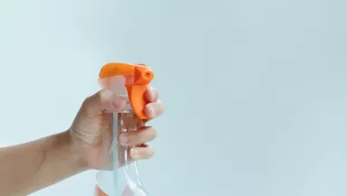 Ha ezt permetezed az ablakkeretre, örökre búcsút inthetsz a muslicáknak: gyűlölik az illatát ezek az apró rovarok