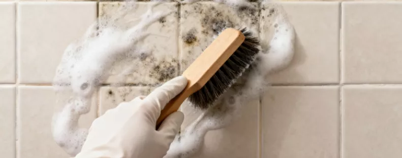 Ez a két összetevős keverék azonnal eltünteti a penészt a fürdőből: gyorsabban hat, mint az erős vegyszerek