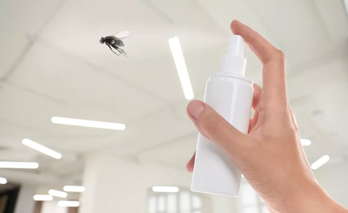 Ettől a vegyszermentes házi keveréktől minden rovar elmenekül a lakásból: soha többé nem mernek majd visszajönni