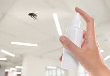 Ettől a vegyszermentes házi keveréktől minden rovar elmenekül a lakásból: soha többé nem mernek majd visszajönni