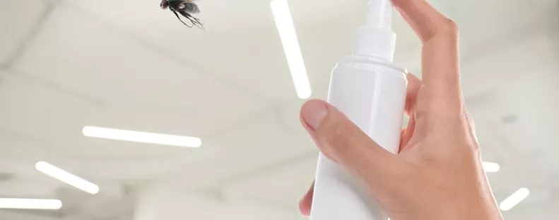 Ettől a vegyszermentes házi keveréktől minden rovar elmenekül a lakásból: soha többé nem mernek majd visszajönni