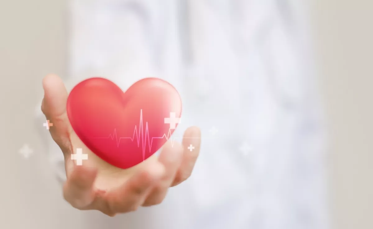 Ez az egy étel képes teljesen megtisztítani az artériákat: a kardiológusok is ezt ajánlják érszűkület ellen