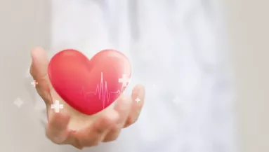 Ez az egy étel képes teljesen megtisztítani az artériákat: a kardiológusok is ezt ajánlják érszűkület ellen