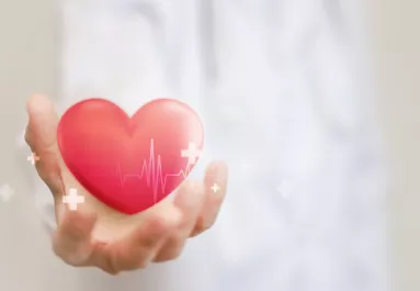 Ez az egy étel képes teljesen megtisztítani az artériákat: a kardiológusok is ezt ajánlják érszűkület ellen