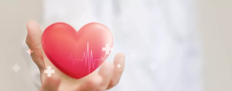 Ez az egy étel képes teljesen megtisztítani az artériákat: a kardiológusok is ezt ajánlják érszűkület ellen