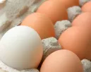 Ha így tárolod a tojást, hónapokig nem romlik meg: olyan friss marad, mint amikor megvásároltad