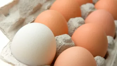 Ha így tárolod a tojást, lassan mérgezővé válhat, a legtöbben mégis így csinálják