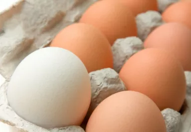 Ha így tárolod a tojást, lassan mérgezővé válhat, a legtöbben mégis így csinálják