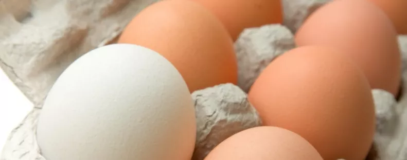 Ha így tárolod a tojást, lassan mérgezővé válhat, a legtöbben mégis így csinálják