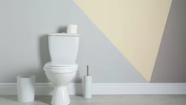 Tedd ezt a WC tartályba, és hetekig illatos lesz az egész fürdő: ezerszer jobb, mint az illatosítók