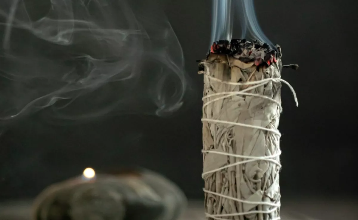 Égess el ebből a gyógynövényből egy csipetnyit: a viták örökre eltűnnek majd a házból