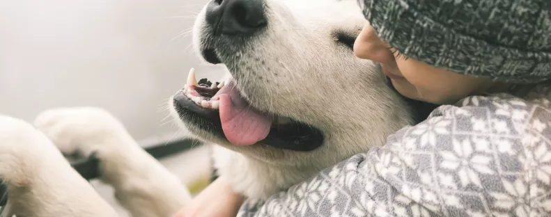Kutya vagy macska? Valójában ez a háziállat a legnagyobb allergénforrás a lakásban