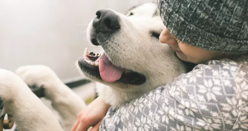 Kutya vagy macska? Valójában ez a háziállat a legnagyobb allergénforrás a lakásban