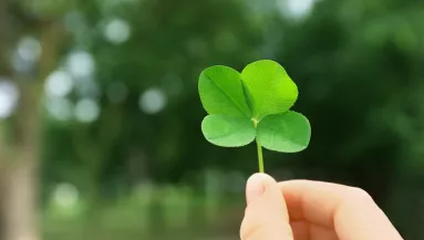 Novemberi szerencsehoroszkóp: Ez a 4 csillagjegy lesz a hónap abszolút nyertese