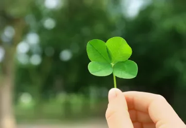 Novemberi szerencsehoroszkóp: Ez a 4 csillagjegy lesz a hónap abszolút nyertese