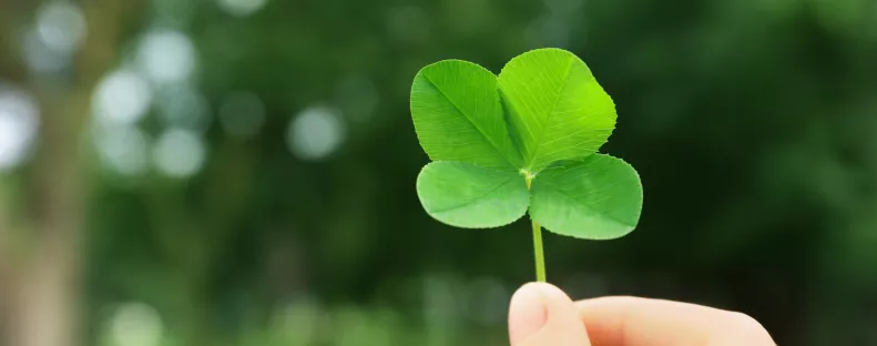 Novemberi szerencsehoroszkóp: Ez a 4 csillagjegy lesz a hónap abszolút nyertese