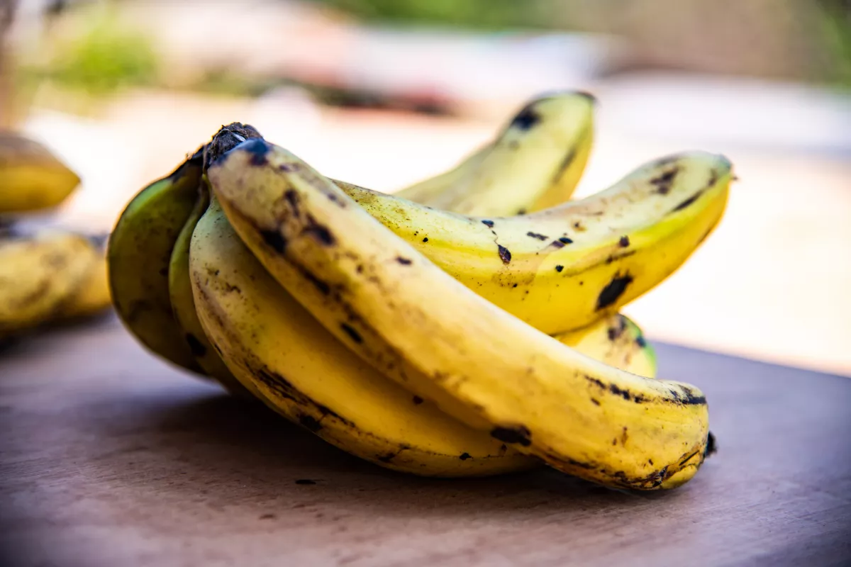 Ha ezt látod az érett banánon, semmiképp ne edd meg