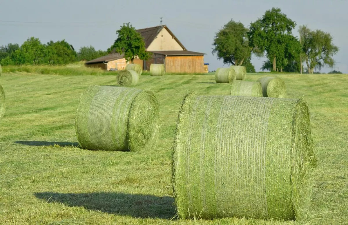 A bálázás – amikor a munka ritmusa diktál