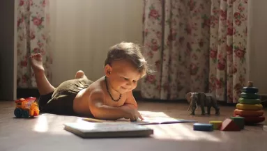 Babakerítés: egy eszköz, ami nyugalmat és biztonságot ad