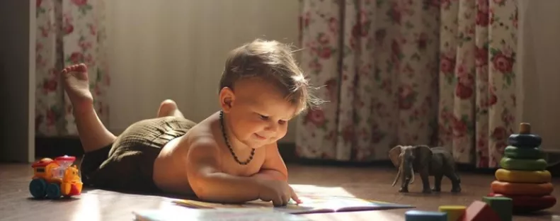 Babakerítés: egy eszköz, ami nyugalmat és biztonságot ad