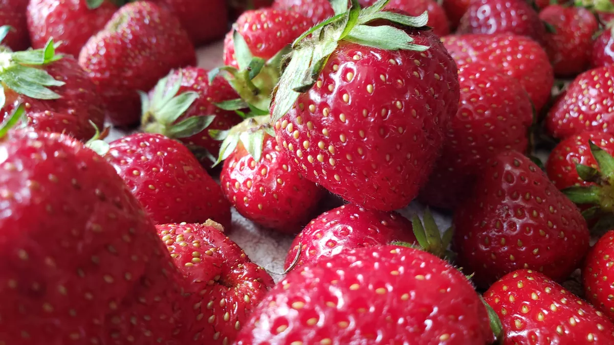 Tavaszi varázslat a tányéron: epres receptek, amiket ki kell próbálnod