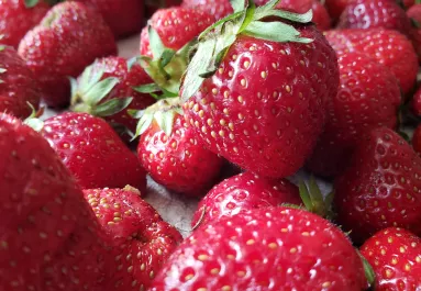 Tavaszi varázslat a tányéron: epres receptek, amiket ki kell próbálnod